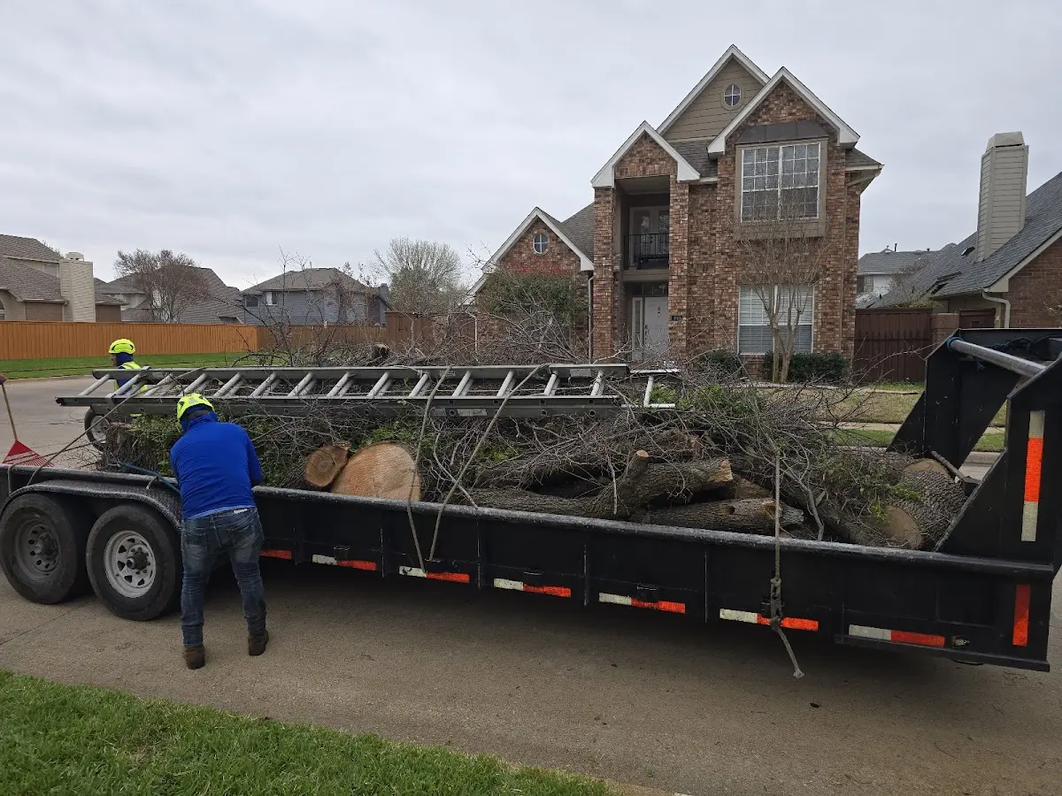 Expert Tree Fertilization with proper safety equipment in Central Village